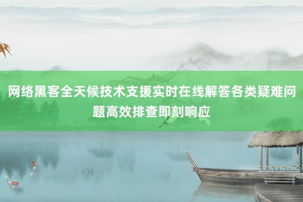 网络黑客全天候技术支援实时在线解答各类疑难问题高效排查即刻响应